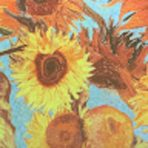 Meet your Posher, Jayla